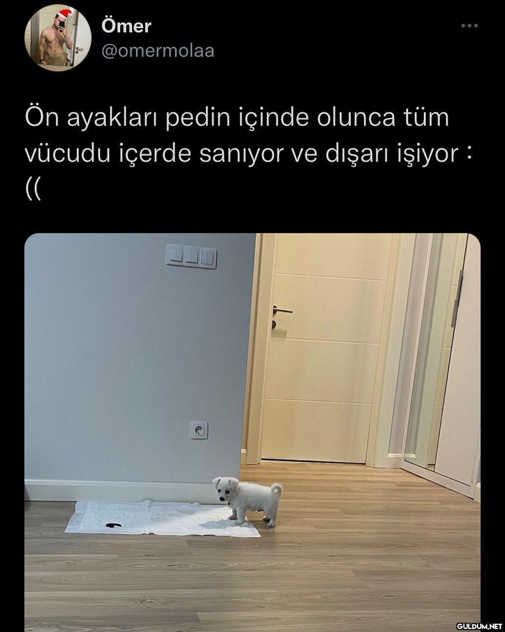 hayatimda bi seyleri...