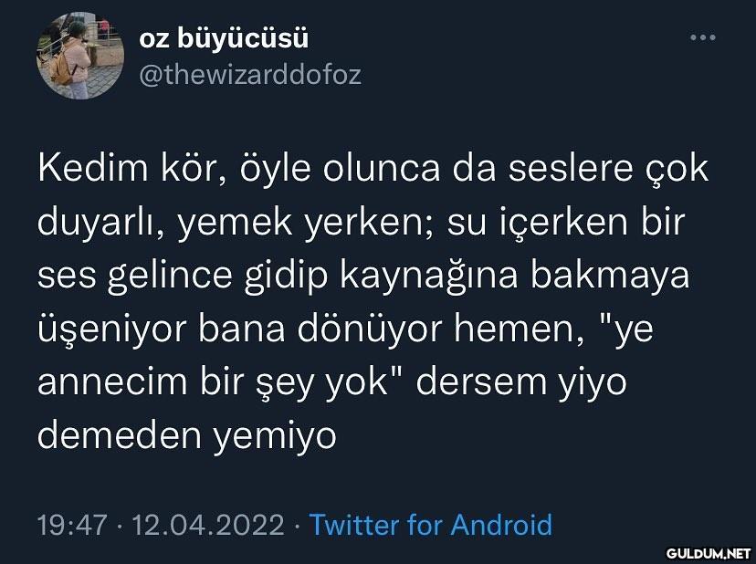 oz büyücüsü...