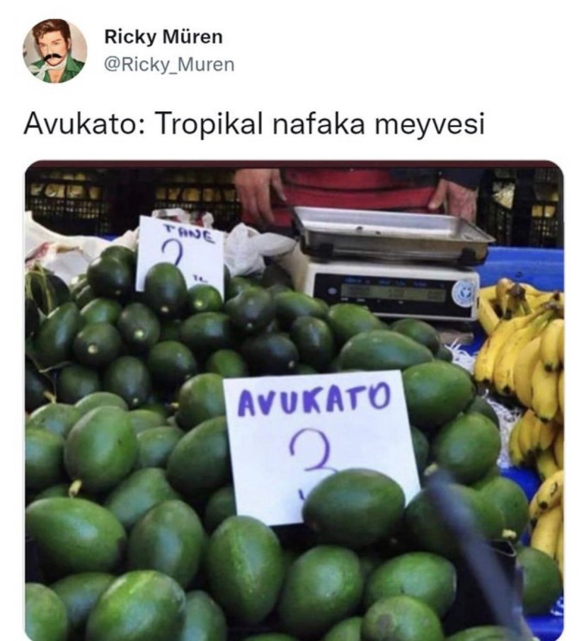 https://t.co/Ku4gGZkeKg  ...