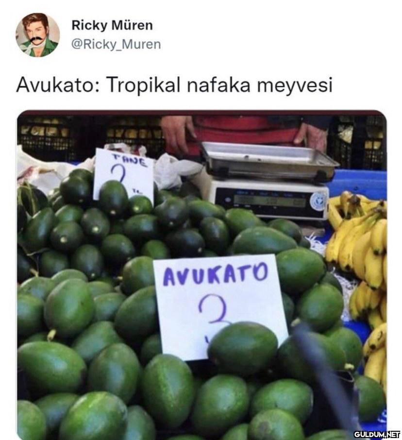 https://t.co/Ku4gGZkeKg  ...