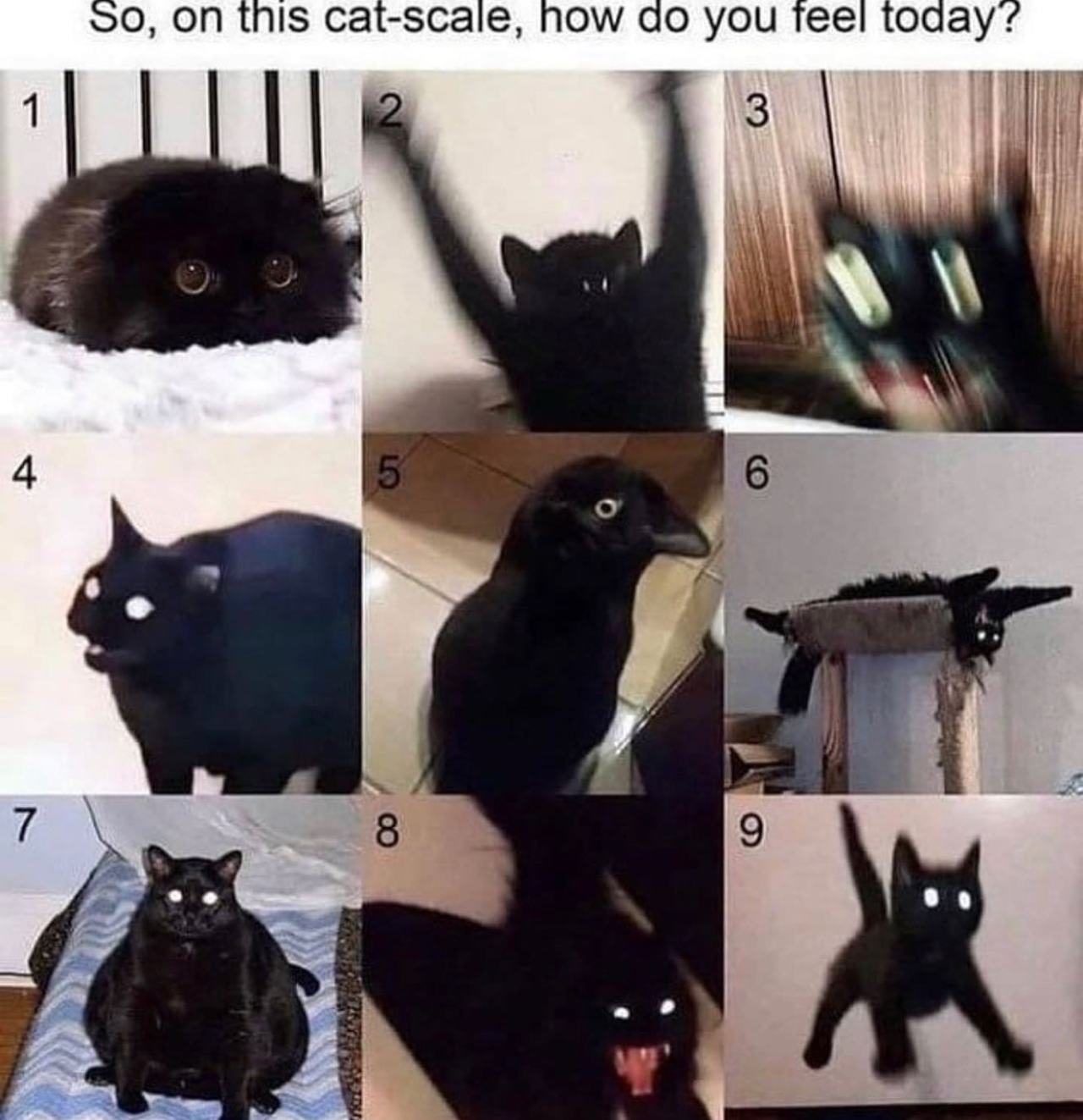 @allofyourproblemsever 🐈  Kaynak