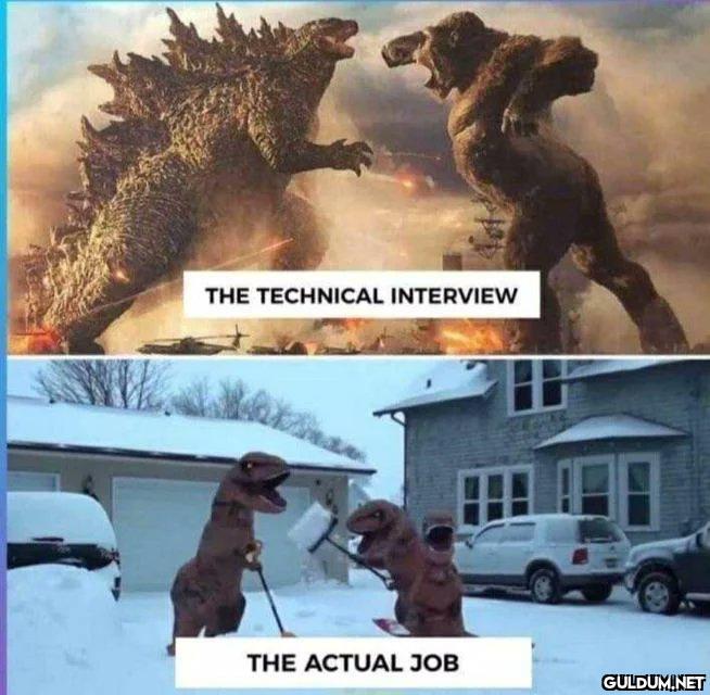 @KevinNaughtonJr haha......