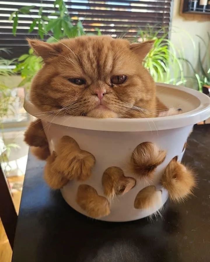 Hshssjsjshshslsj müthiş...