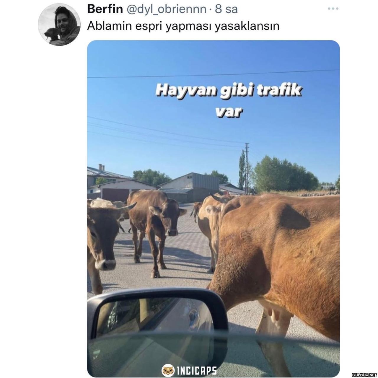 Berfin @dyl_obriennn · 8...