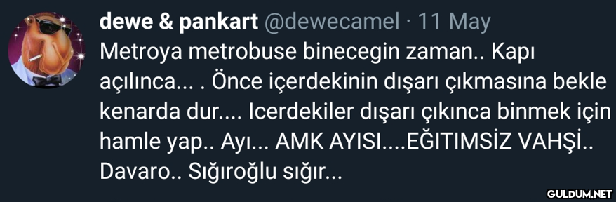 dewe & pankart @dewecamel...
