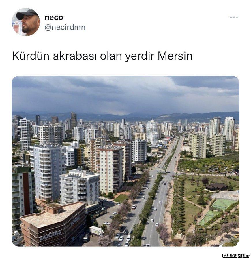 neco @necirdmn Kürdün...