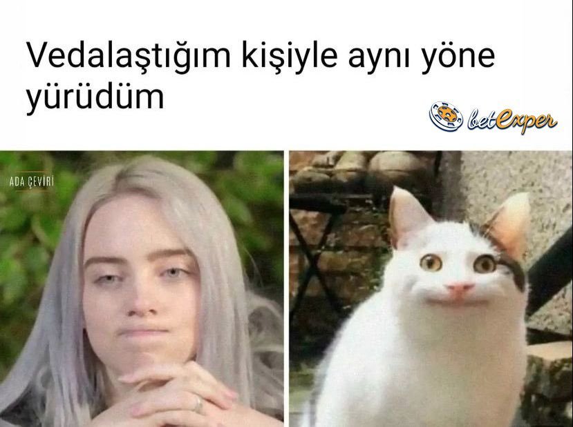 https://t.co/k4Z4ykRphF  ...