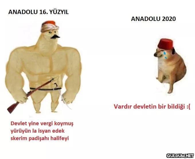 https://t.co/4C4QVU6zzM  ...