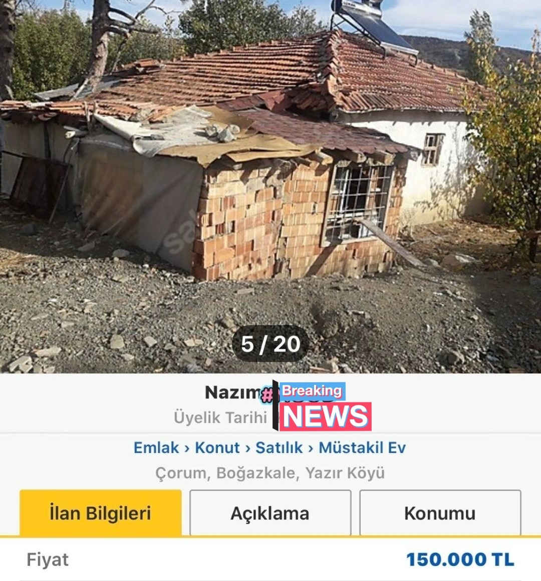 Amerika            /      ...