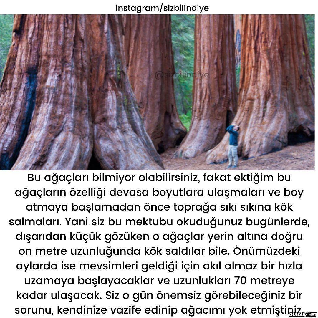 Müthiş olay 👏🏻  Daha fazla...