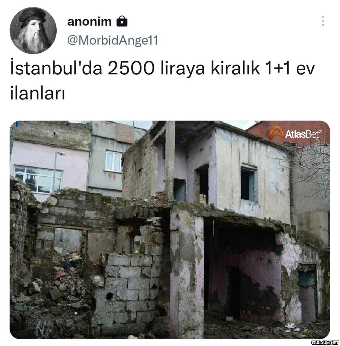 https://t.co/v4SprvCGE6  ...