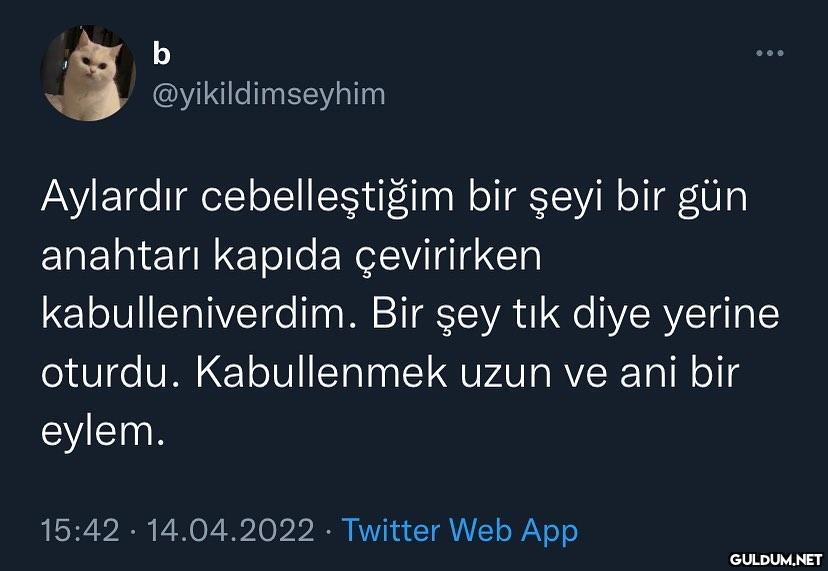 b @yikildimseyhim Aylardır...