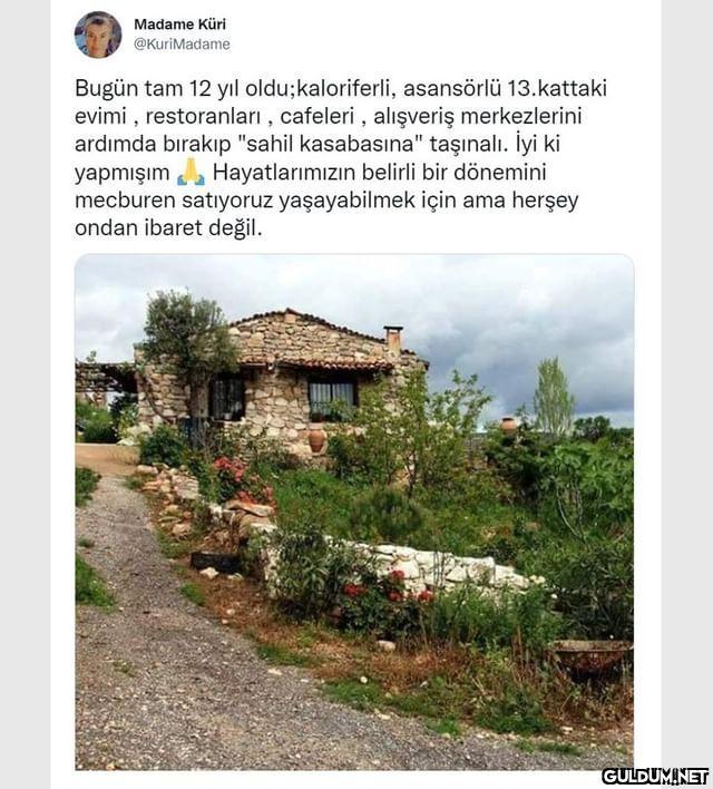 Madame Küri @KuriMadame...