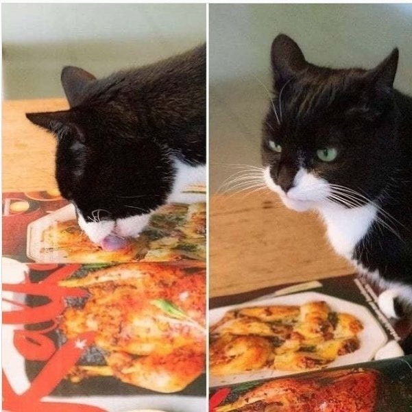@not.not.reading 🍗  Kaynak