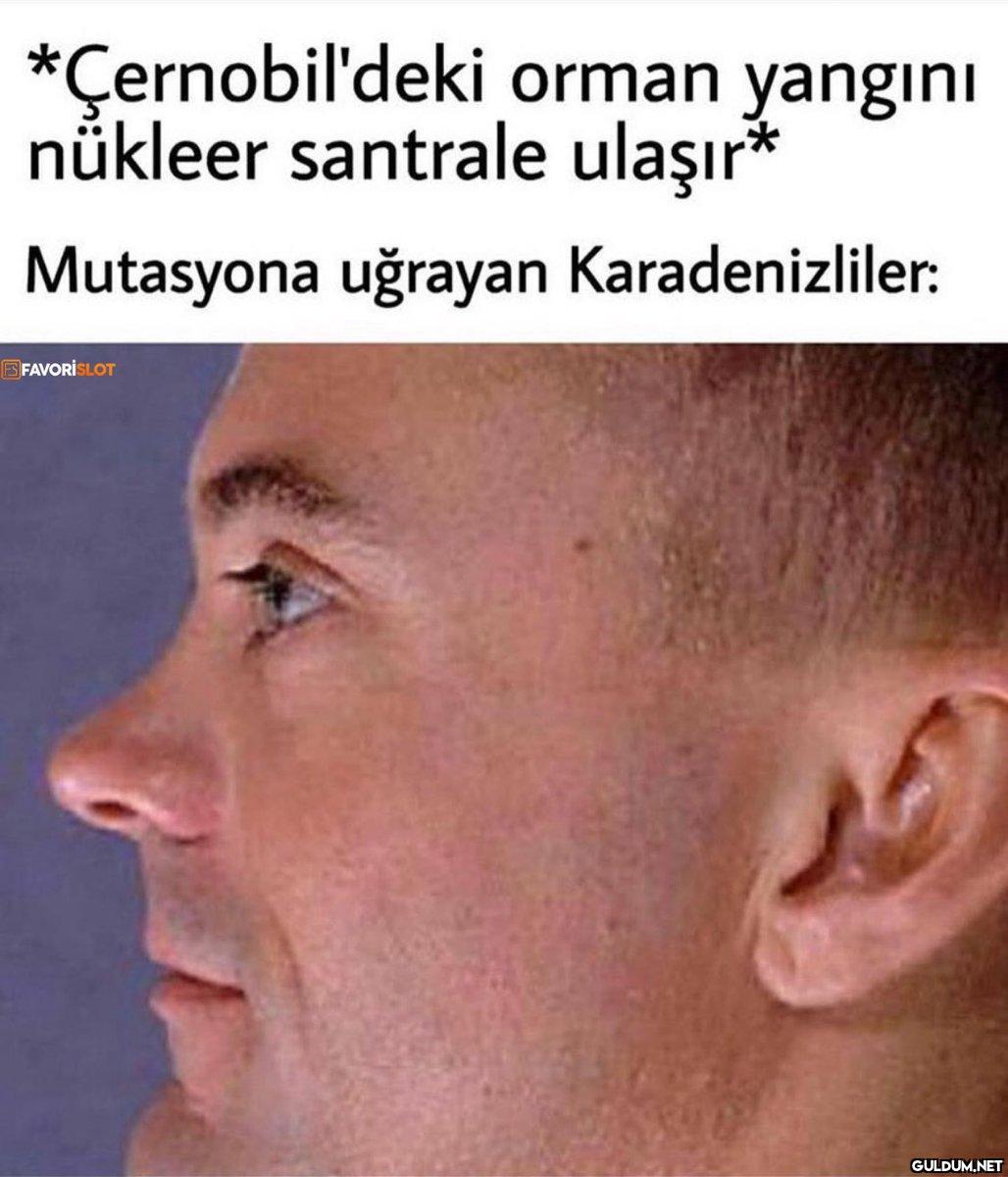 *Çernobil'deki orman...