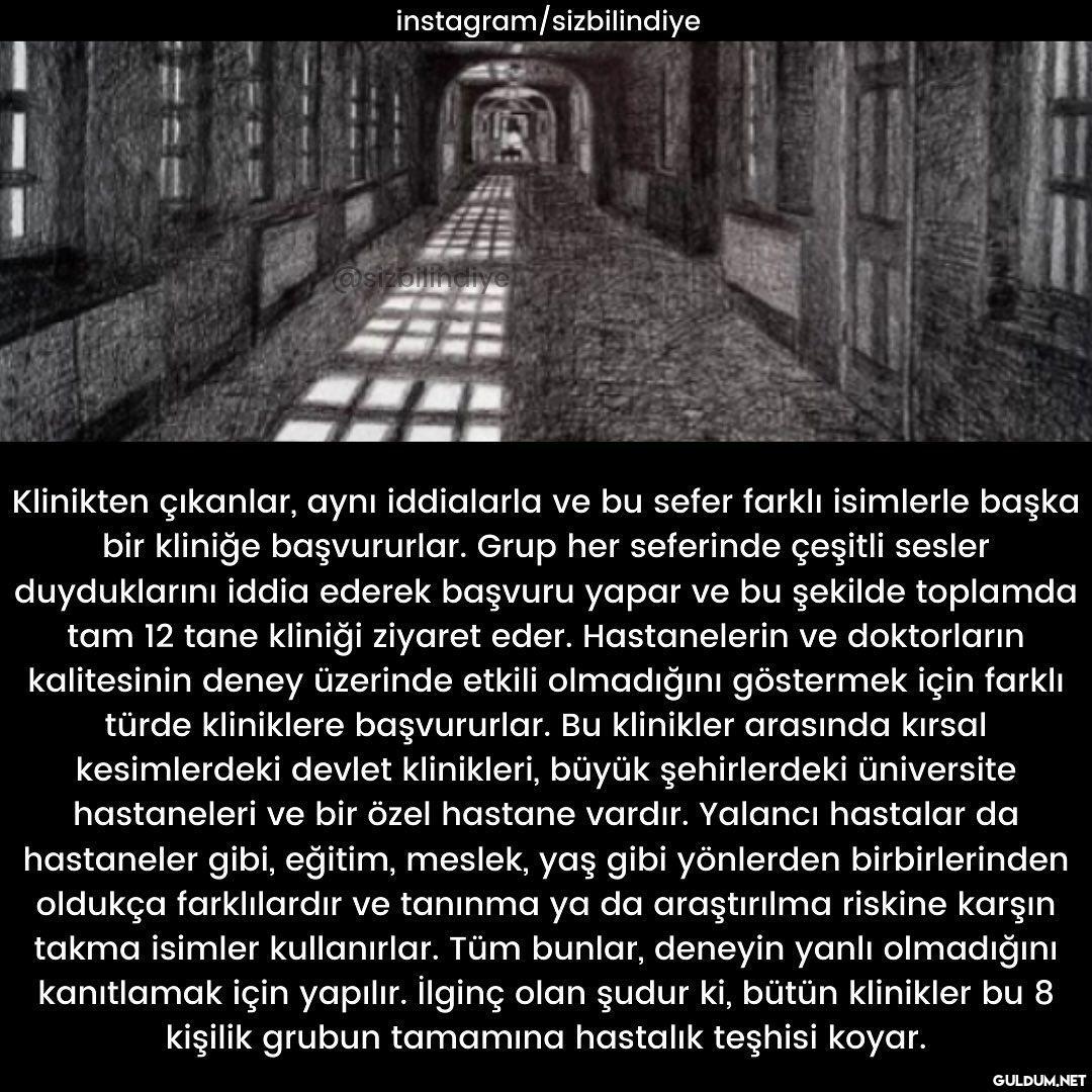 Bir deneyin hikayesiyle...