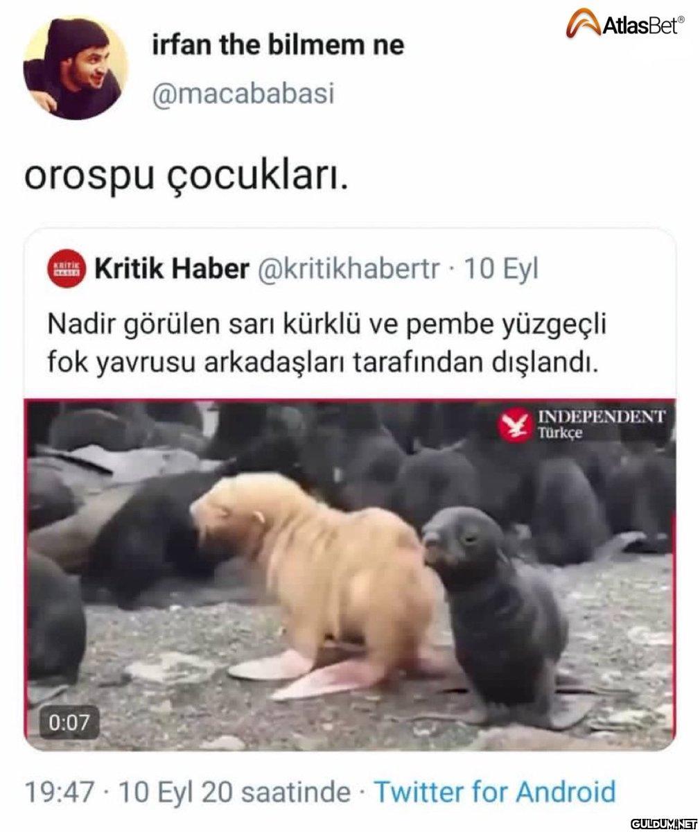 https://t.co/2yU2yW2D99  ...