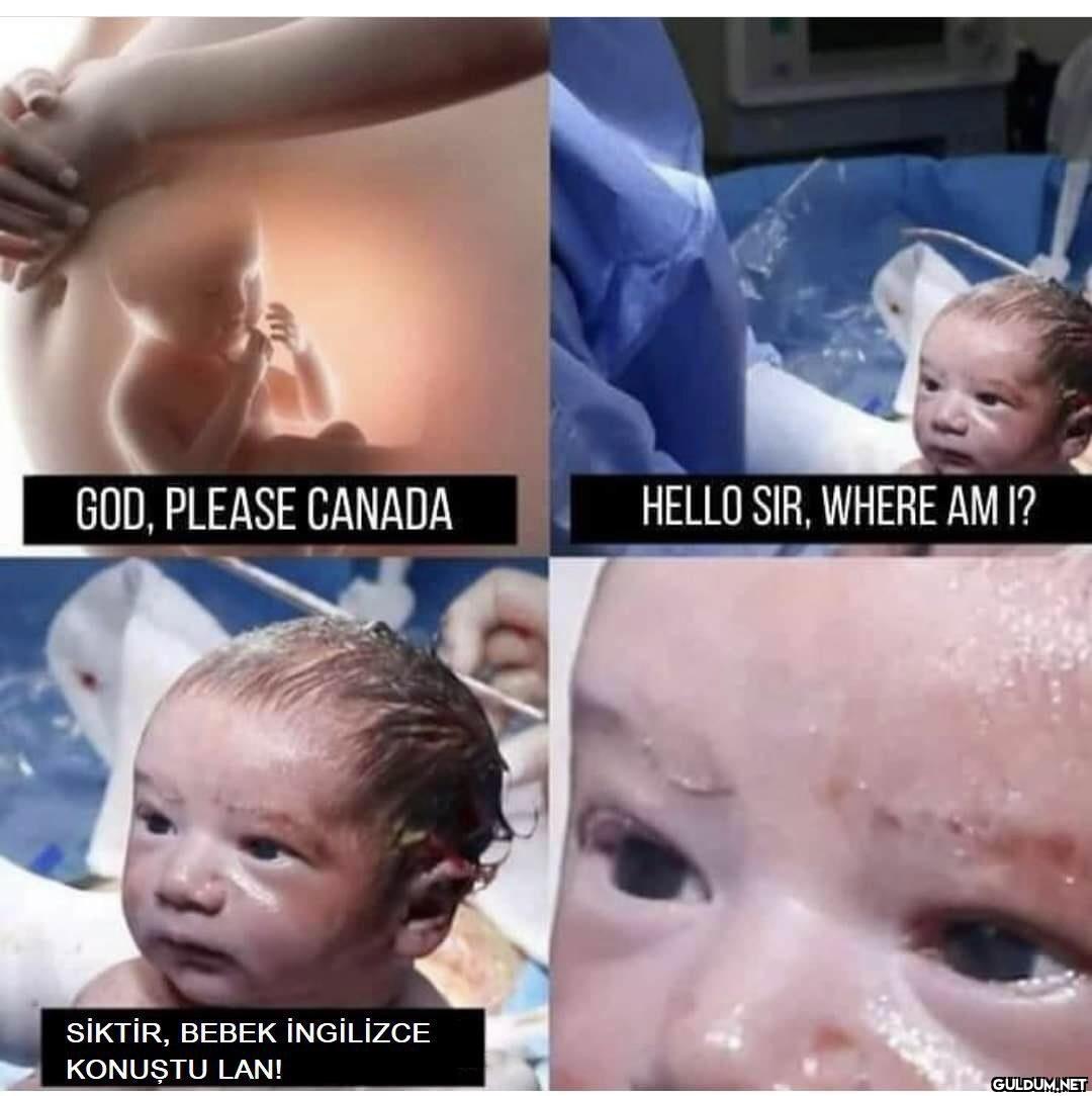 GOD, PLEASE CANADA HELLO...