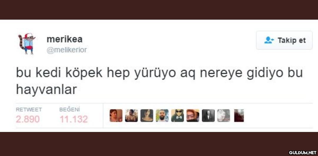 t merikea @melikerior...