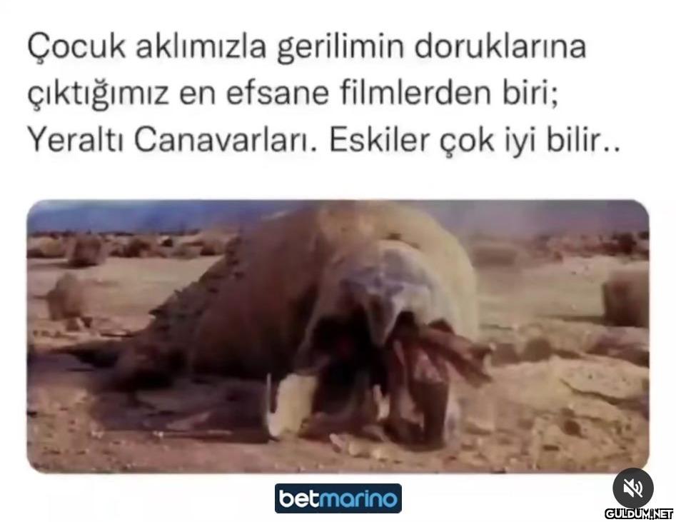 Sağlam oldlar bilir...