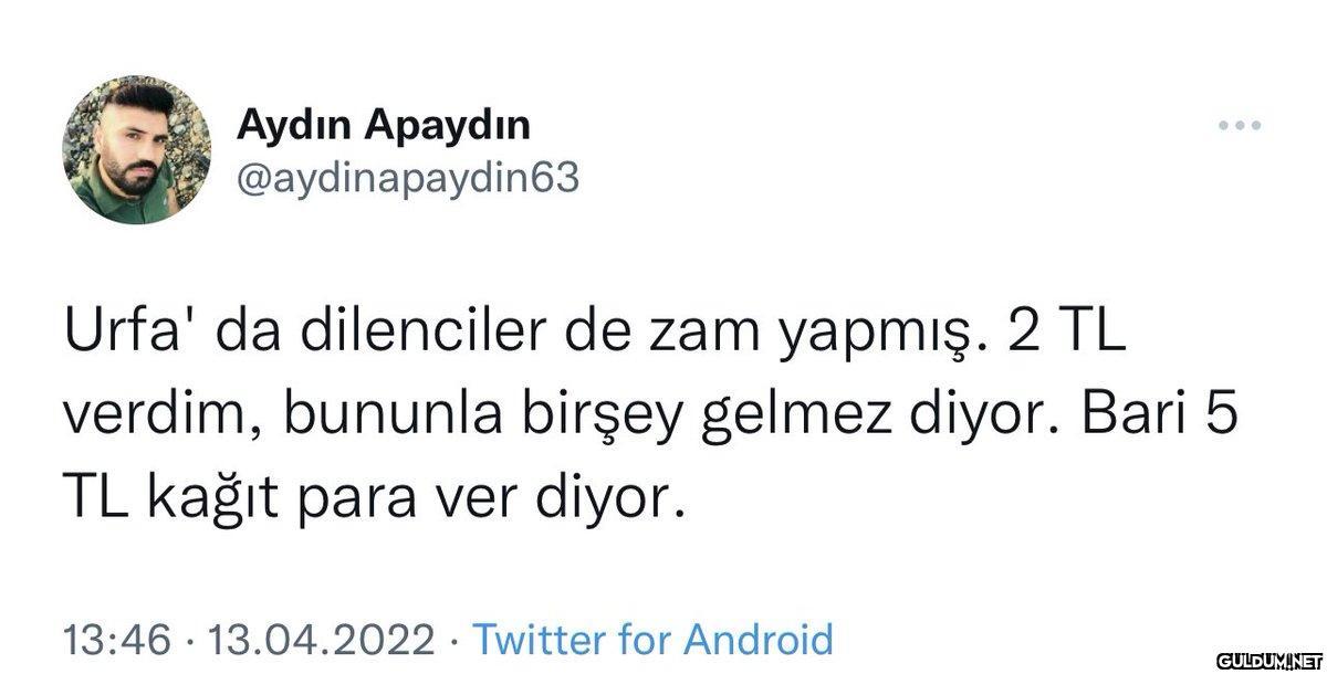 Aydın Apaydın...