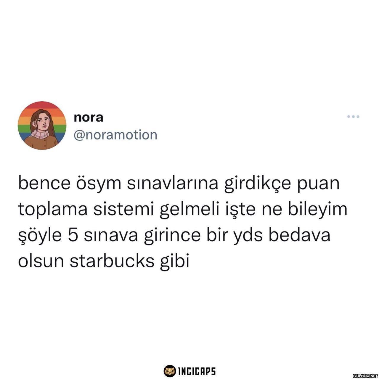 nora @noramotion bence...
