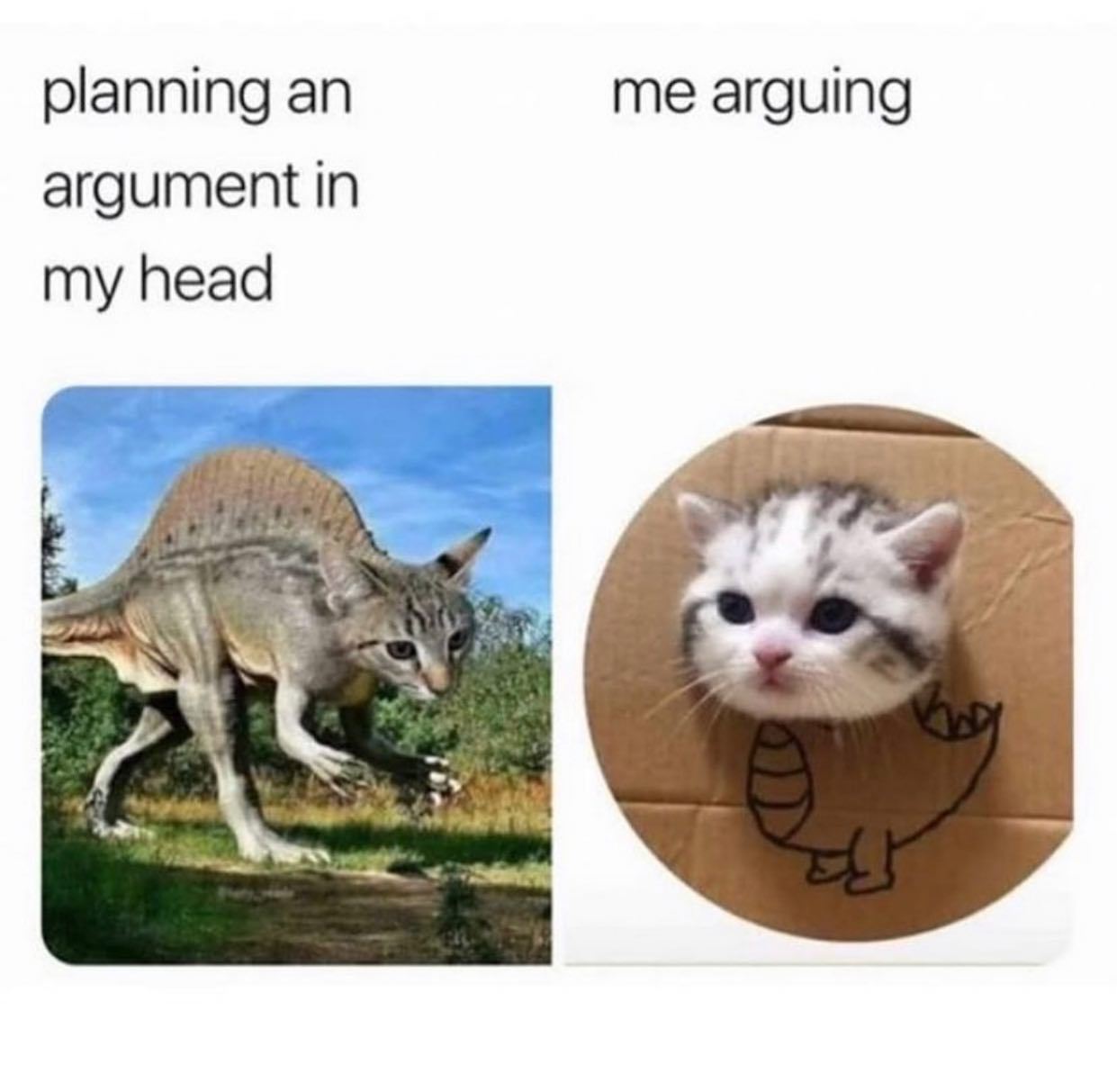 @philosophy_lol 🦖  Kaynak