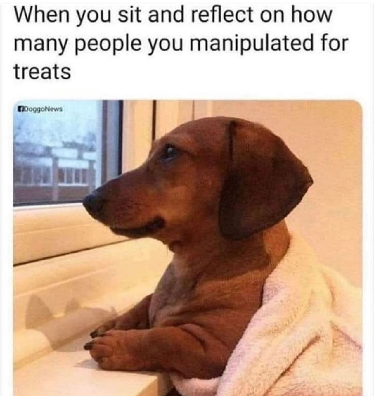@someones.therapist 🐶  Kaynak
