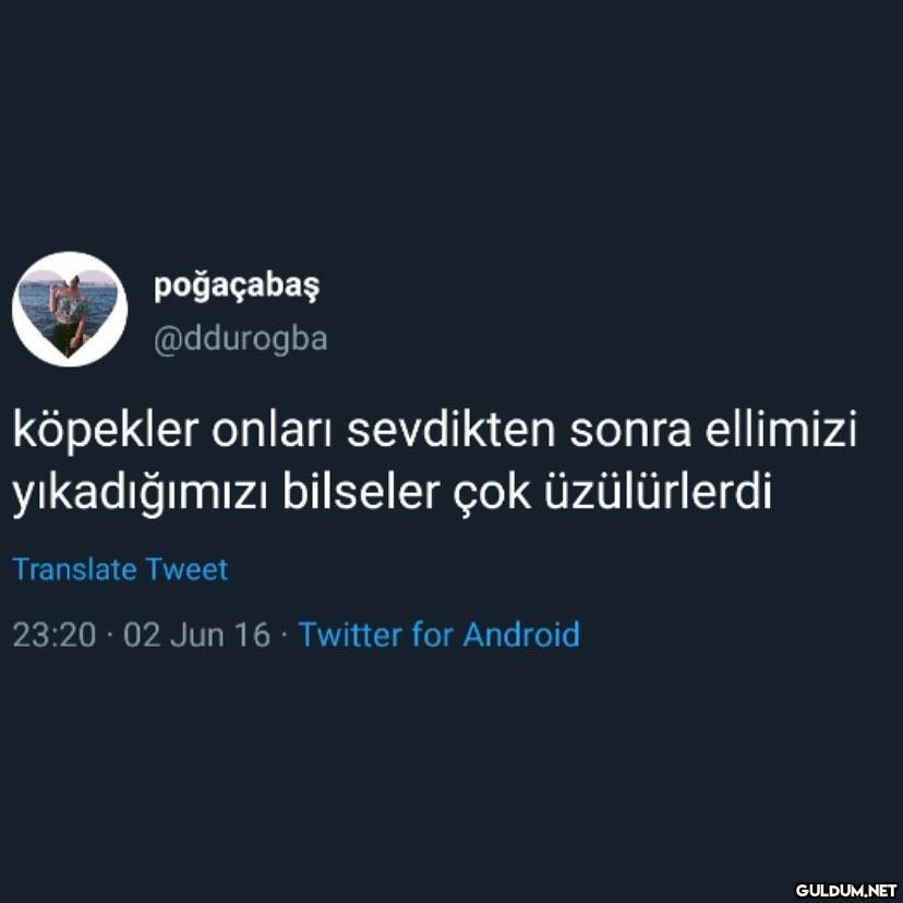 poğaçabaş @ddurogba...