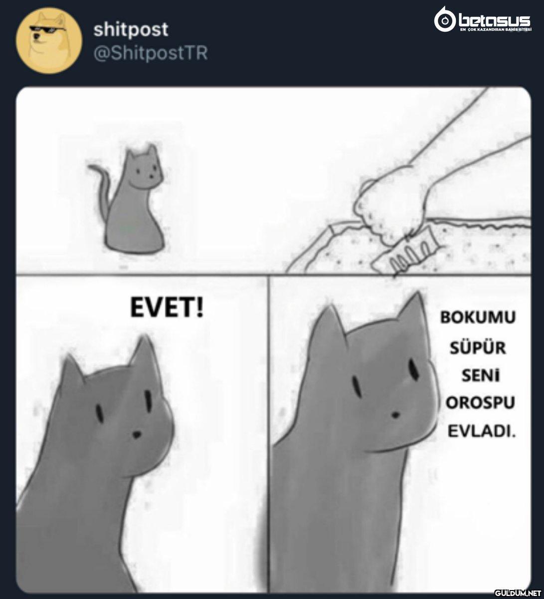 https://t.co/aVvELxE141  ...