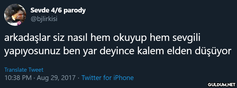 Sevde 4/6 parody...