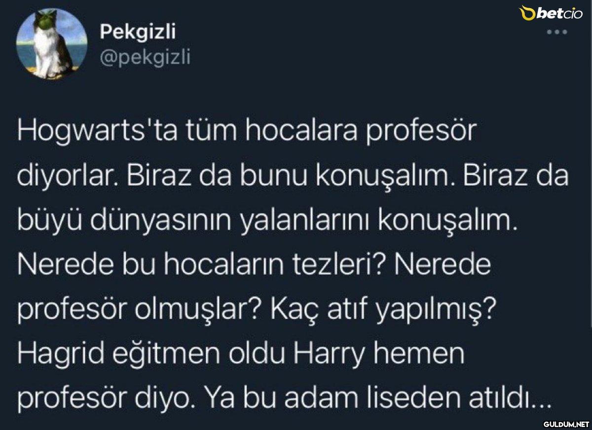 Sbetcio Pekgizli @pekgizli...