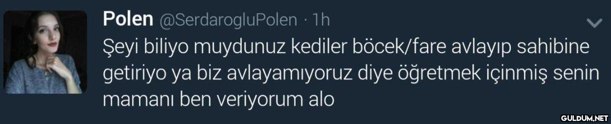 Polen @SerdarogluPolen ·...