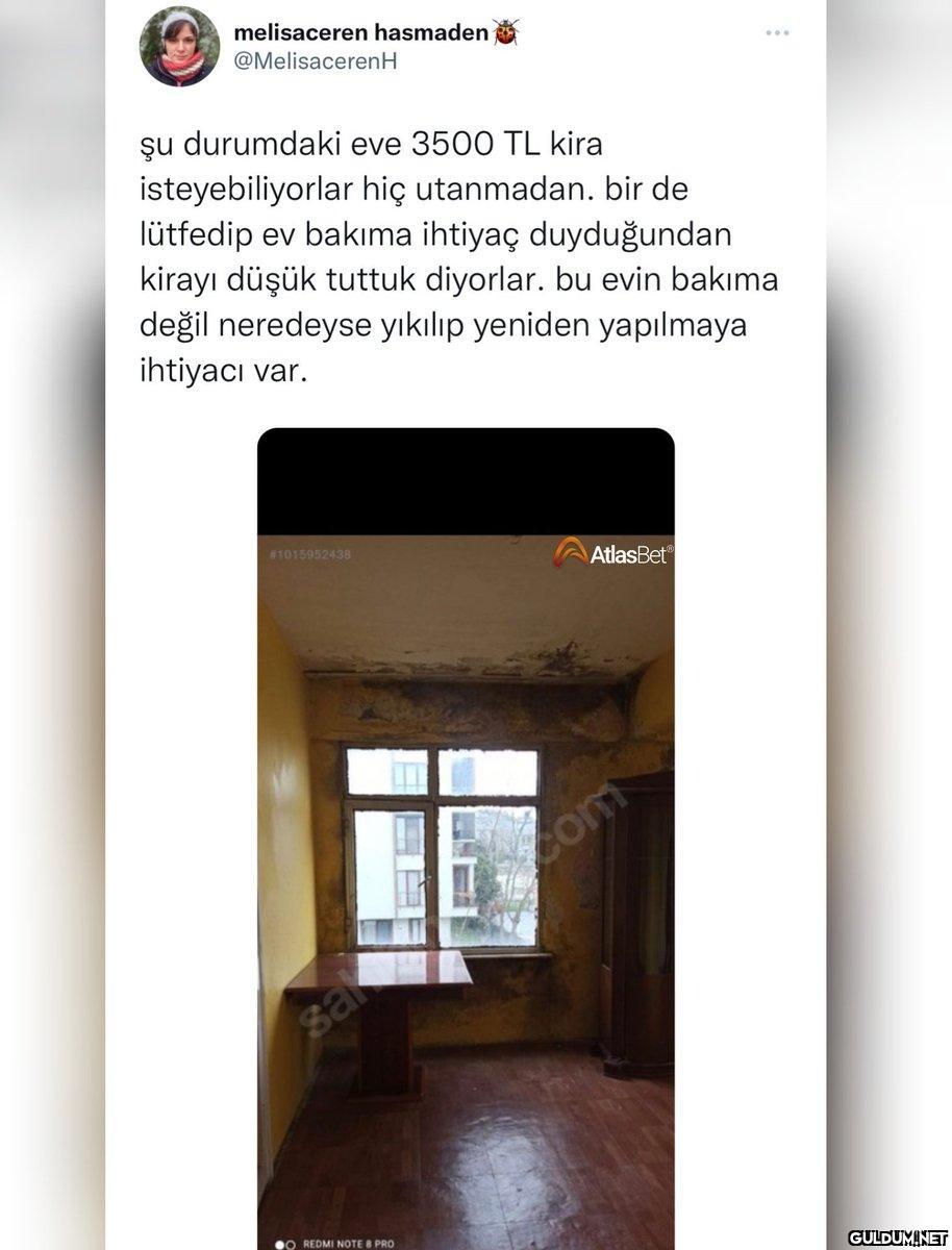 https://t.co/djQ004AIA3  ...