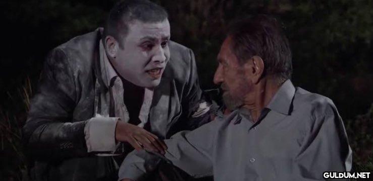 - sabri abi bunlar kedi...
