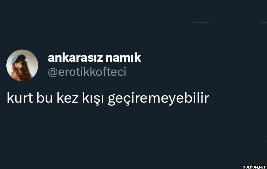 kurt bu kez kışı geçiremeyebilir