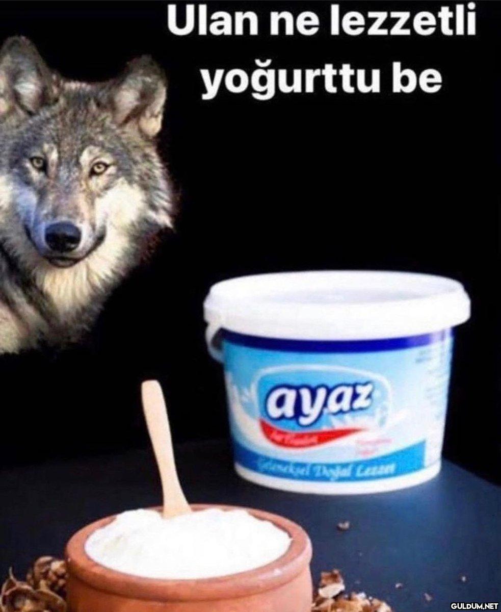 https://t.co/rkD4Zwuyn1  ...