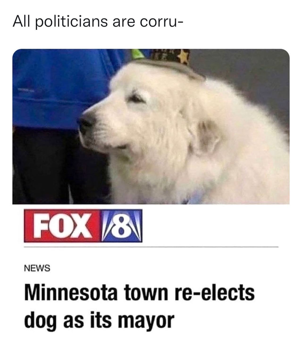 Who’s a good mayor  Kaynak