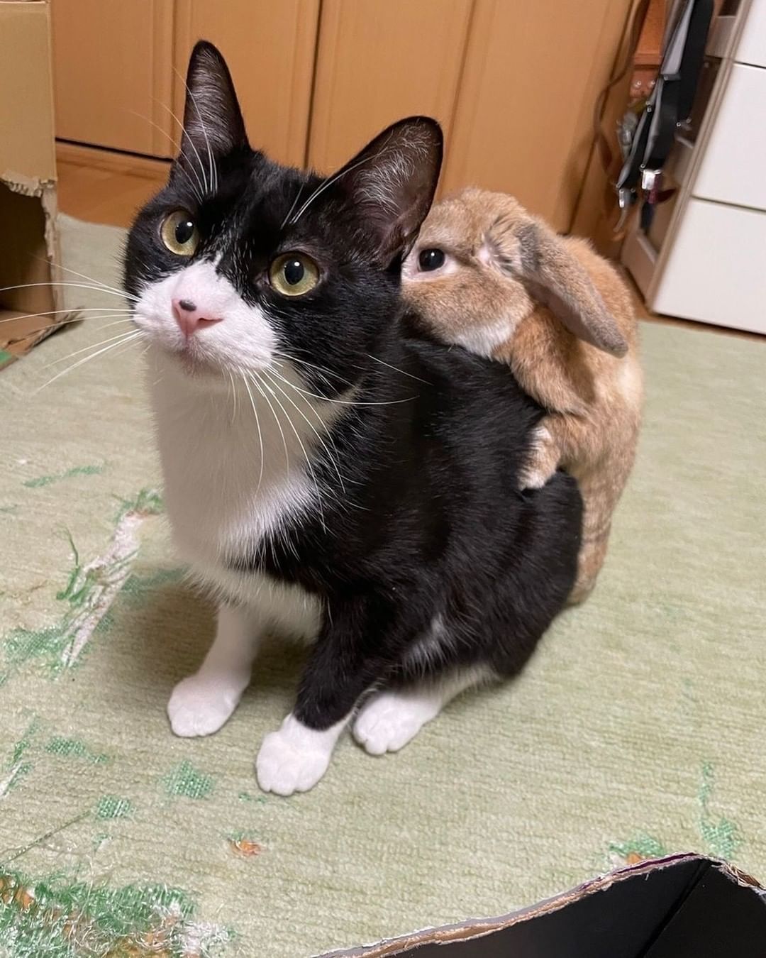 Clingy fren💕 📸...