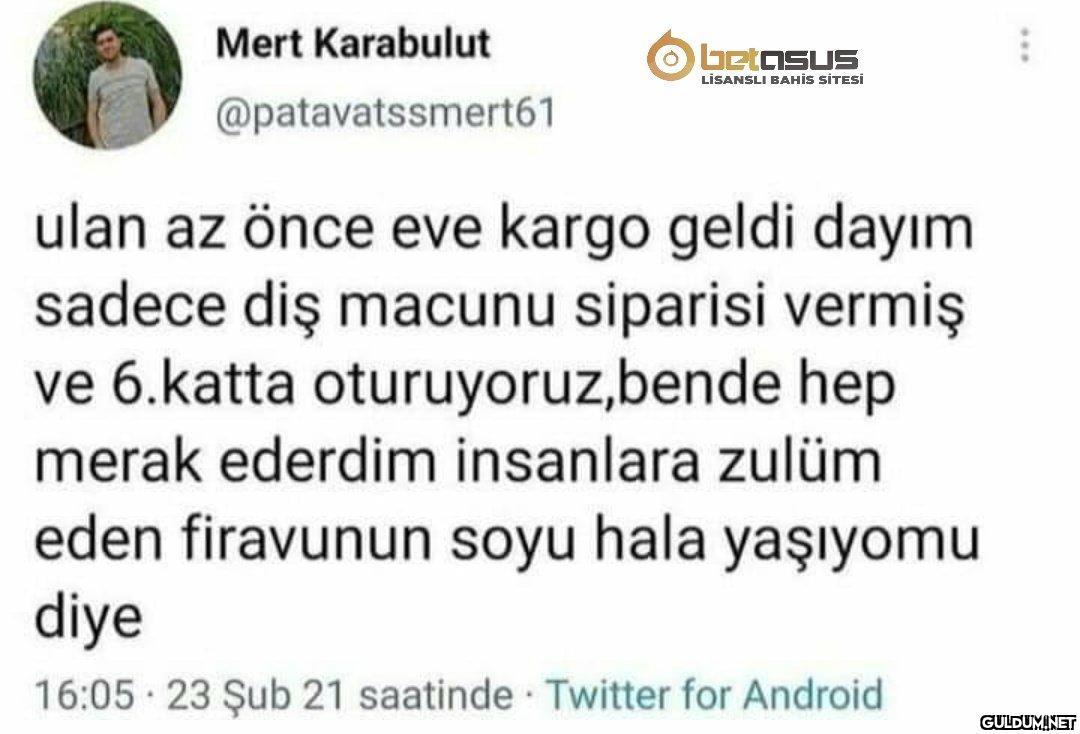 djsjxjjdjsjsjs...