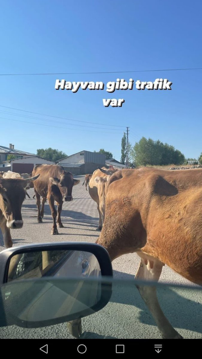 Benim mizah anlayışı...