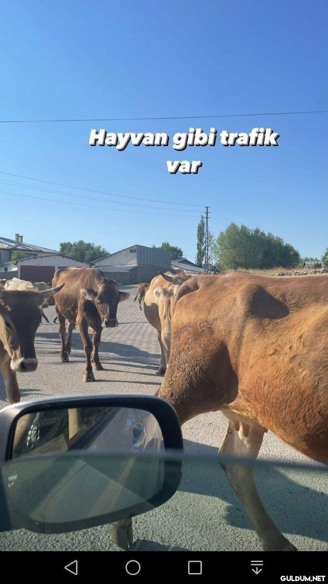 Benim mizah anlayışı...