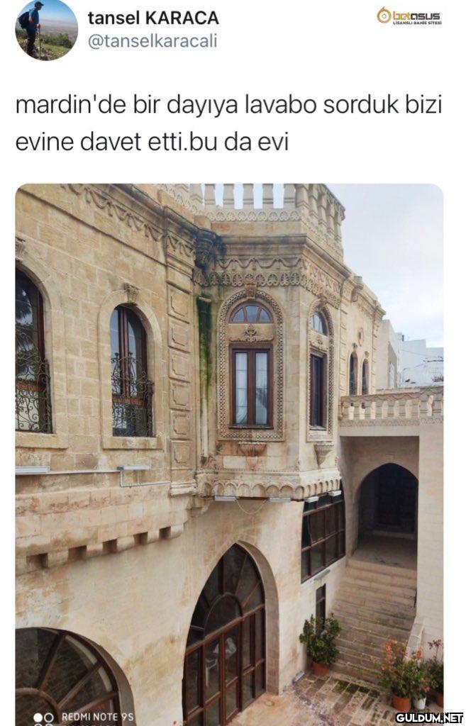 tansel KARACA betosus...