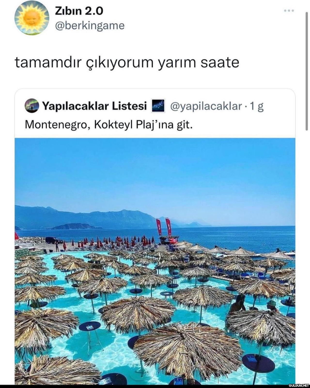 Sıdjdjjjdsj   Zıbın 2.0...