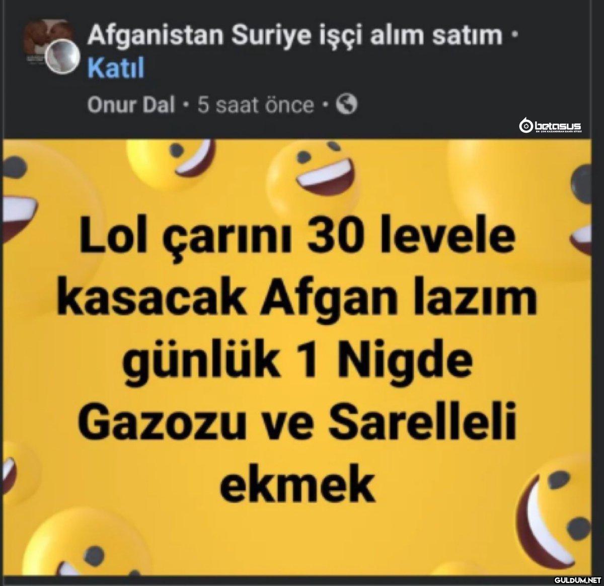 Afganistan Suriye işçi...