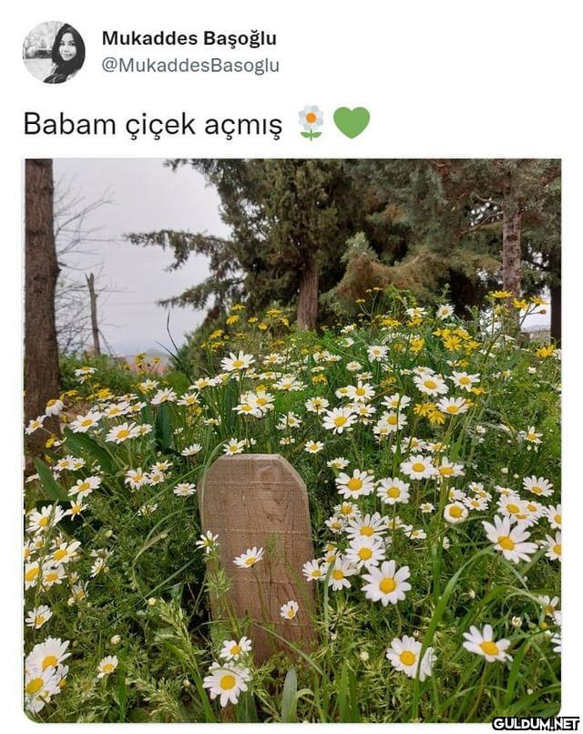 Mukaddes Başoğlu...
