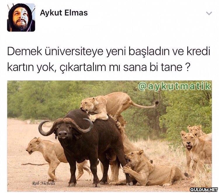 Bu bir bataktır  ....