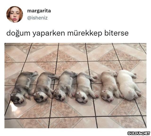 margarita @isheniz doğum...