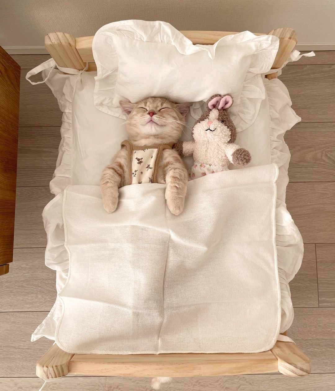 Can't sleep without meow...