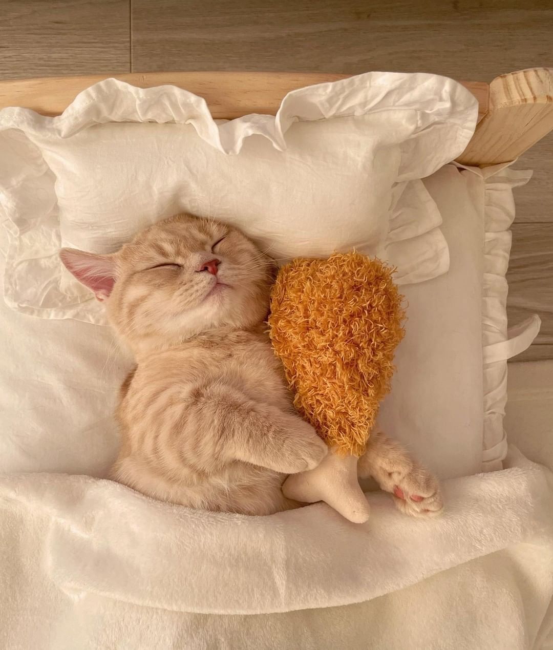 Can't sleep without meow...